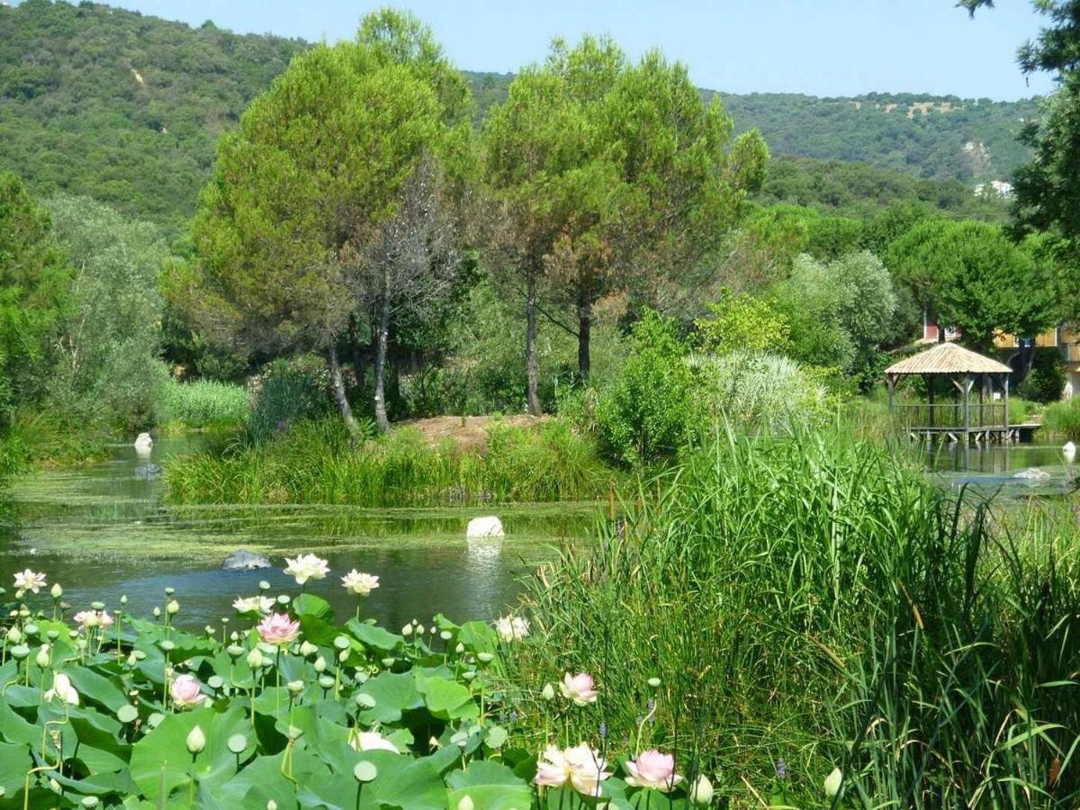 Les Restanques 1066 Jacynthe Vue Mer Grimaud Exterior foto